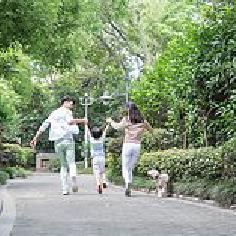 諸諸諸葛明啊