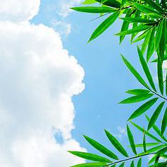 乘空氣