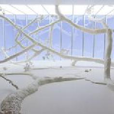 皇甫雪兒
