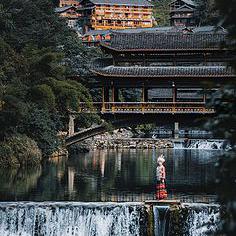 淤泥與腐根