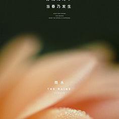 薇拉瑰麗