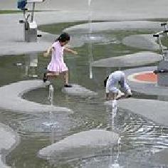 楊家大少鴨