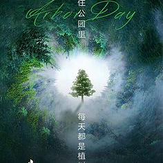 芝士片卷卷卷