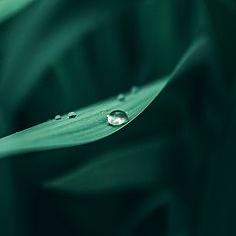 俊華上美