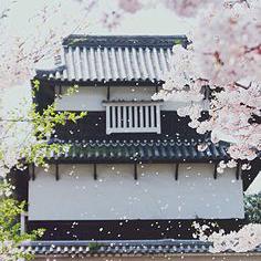 山崎月落