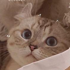 落風(fēng)逐影