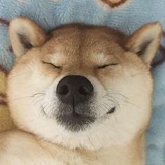 核孔的孔