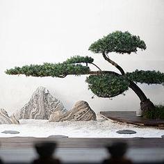 舉個板栗給你吃
