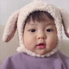 漢言知至