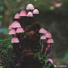 玉玉琉璃