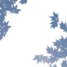 大大風(fēng)憶