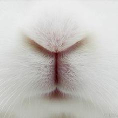 夢幻的世界線