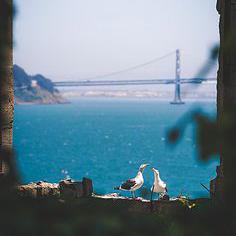 十八子明空