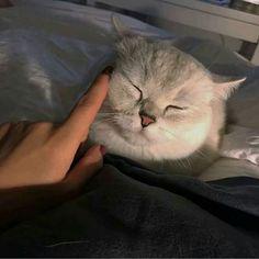 不科學的逗逼