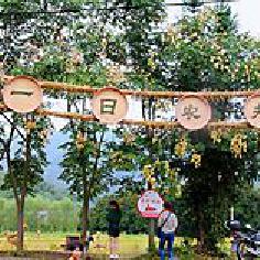萌駝駝號(hào)