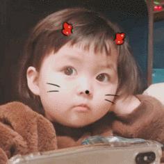 壹鴿兒