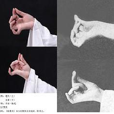 不想看養成系嗎