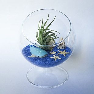 念顏洛