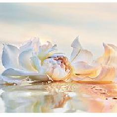 呆萌痴汉皮卡丘