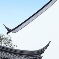刘狗杂