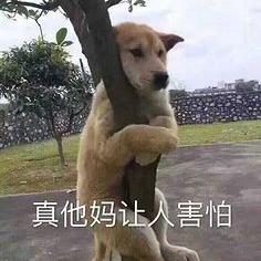 诗人王二