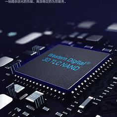 小八远亲三重茅