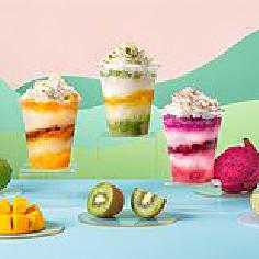 尼古拉丁赵老四